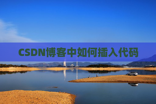CSDN博客中如何插入代码